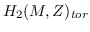 $H_{2}(M,\mathbb{Z})_{tor}$